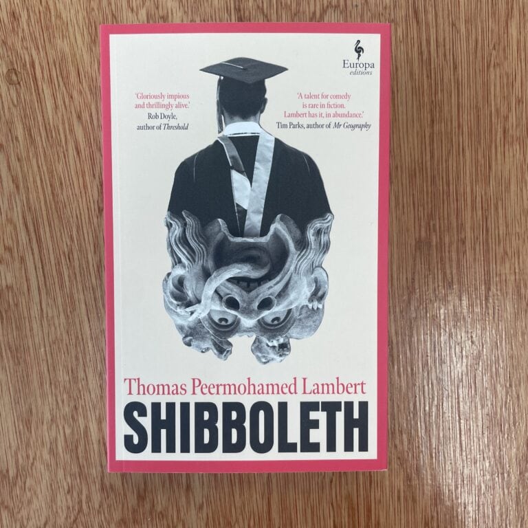 Vintage book cover of 